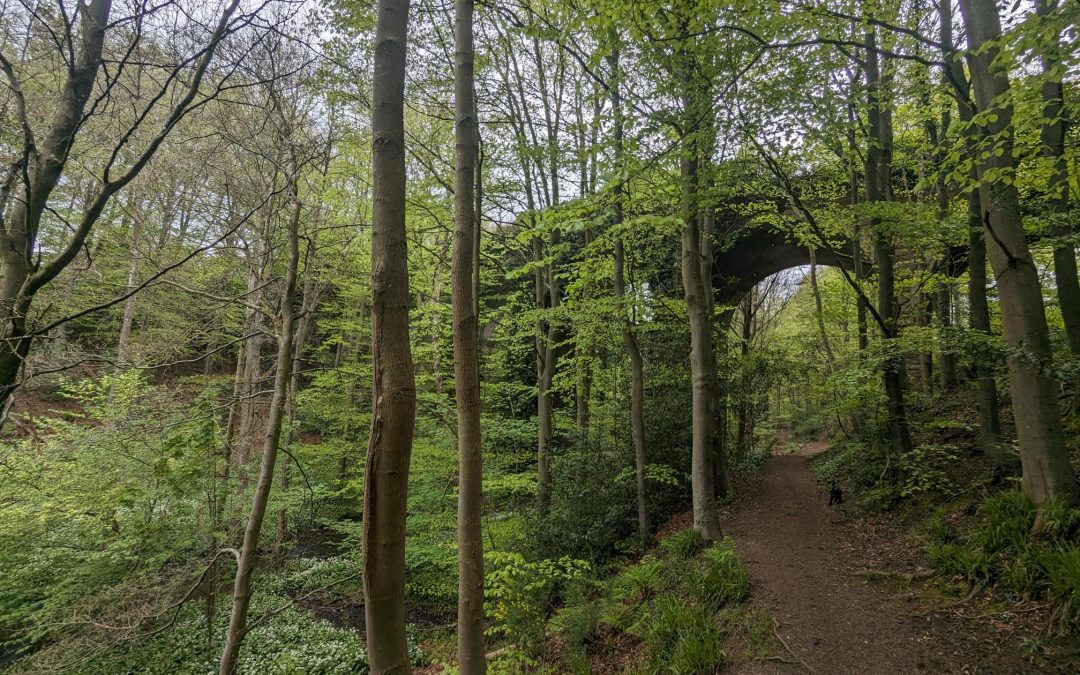 Free Guided Walk: Teesdale Railway Walk